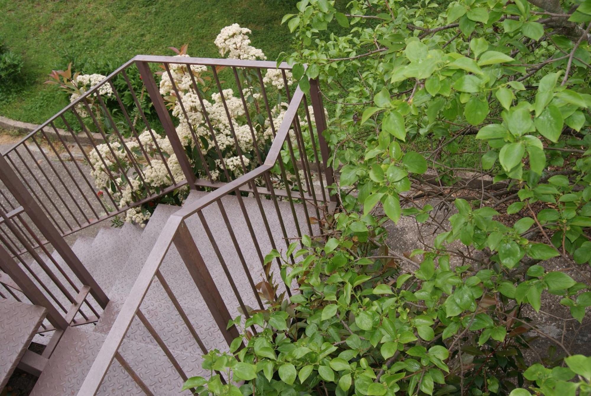 Apartamento con encanto l'Estany Banyoles Exterior foto